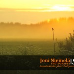 PJN