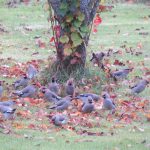 img_0950