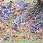 img_0955