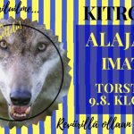 AA-IPV_090818
