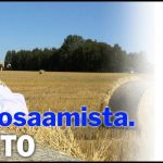REIJO2019(1)