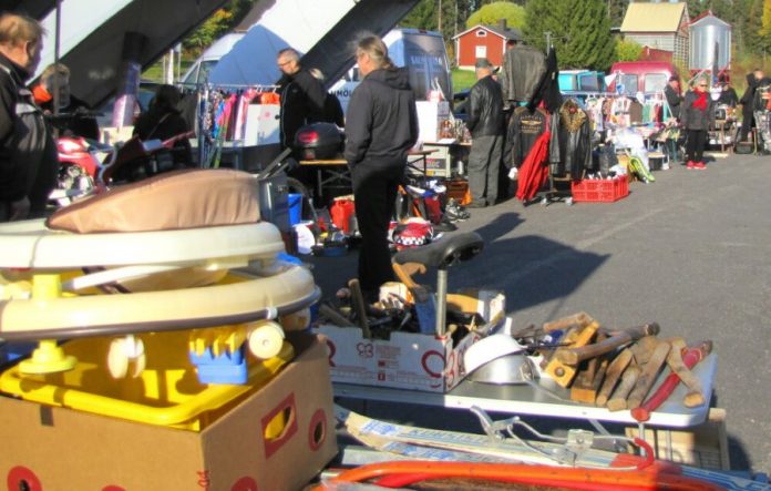 ONNENKIRPPIS 5