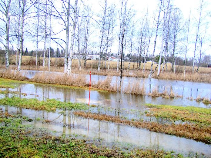 Töysänjoki271020_P Hautala