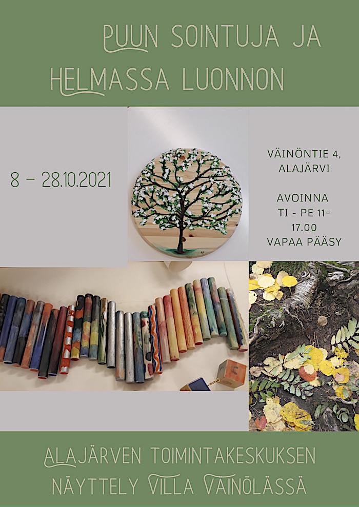 Villa Väinölä -Nelimarkka-museo 1kk