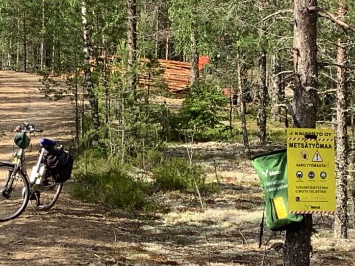 Metsätyö