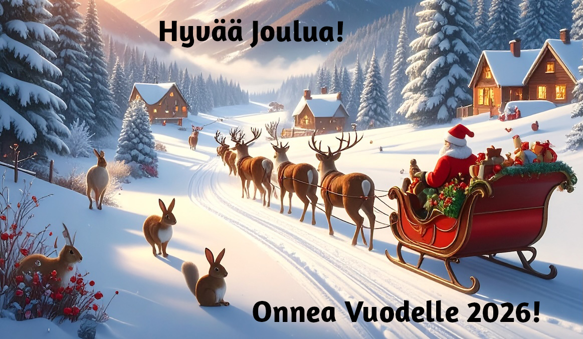 Joulu_2025